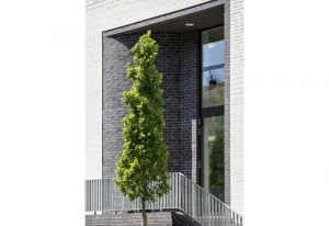 Architekt BonnStudierendenwohnheim Drususstraße - Neubau von 73 Studierendenapartments in Bonn-Castell, Bodendenkmal, KfW-55 - Koenigs Rütter Architekten